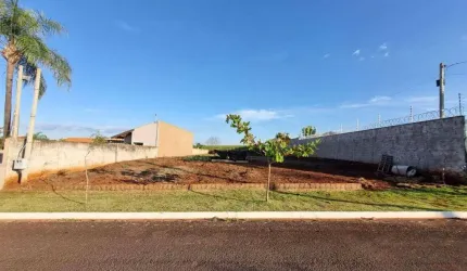 Terreno à venda, 1000 m² por R$ 220.000,00 - Rodovia - Sertanópolis/PR
