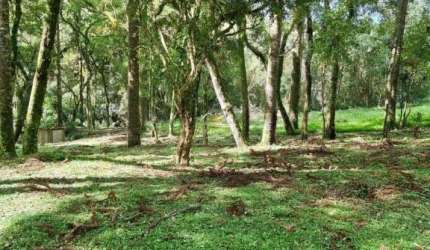 Chácara / sítio com 1 quarto à venda na Estrada Particular, 3, Jardim Bela Vista, Balsa Nova por R$ 299.000