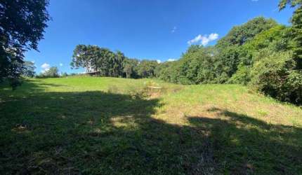 Chácara / sítio com 3 quartos à venda na Rua da Chapada, 1, Centro, Balsa Nova por R$ 650.000