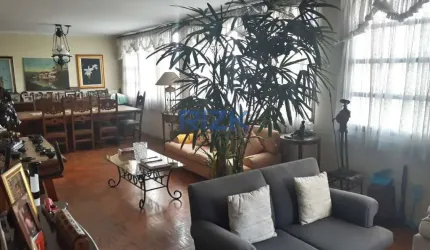 Amplo com vista para o Parque