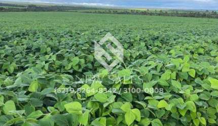 Fazenda de Oportunidade em Jataí-GO! 80 Alqueires !
