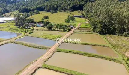 Sítio com 1 dormitório à venda, 90649 m² por R$ 900.000,00 - Rio Morto - Rodeio/SC
