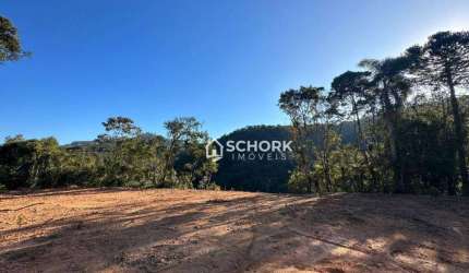 Sítio à venda, 20100 m² por R$ 199.000,00 - Liberdade  - Benedito Novo/SC