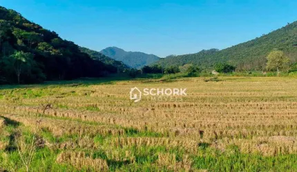 Sítio à venda, 167800 m² por R$ 1.100.000,00 - Guaricanas II - Ascurra/SC