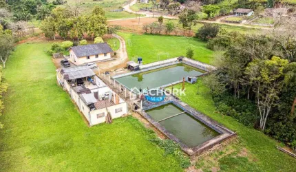 Sítio à venda, 20000 m² por R$ 1.250.000,00 - Arapongas - Indaial/SC