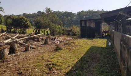 Terreno para alugar, 700 m² por R$ 1.100,00/mês - Itoupava Central - Blumenau/SC