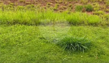 Loteamento à venda em Rio Abaixo - SP