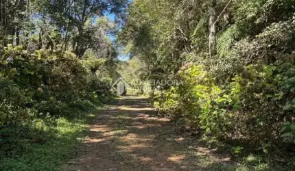 Terreno à venda na Maracajás, 12, Loteamento Colinas de são Francisco, São Francisco de Paula, 675 m2 por R$ 80.000