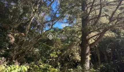 Terreno à venda na Maracajás, 13, Loteamento Colinas de são Francisco, São Francisco de Paula, 675 m2 por R$ 80.000