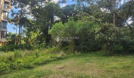 Terreno em condomínio fechado à venda na Dos Tucanos, 11, Quinta da Serra, Canela, 1552 m2 por R$ 980.000