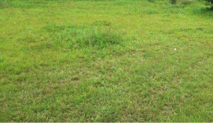 Terreno à venda, 332 m² por R$ 3.984.000,00  - Vila Operária - Itajaí/SC