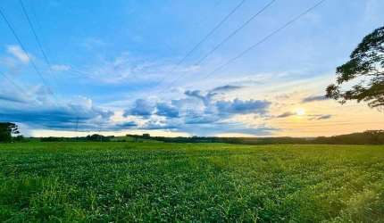 Chácara / sítio com 2 quartos à venda na RUA COLONIA CACHOEIRA, 000, Zona Rural, São Mateus do Sul, 217800 m2 por R$ 2.400.000