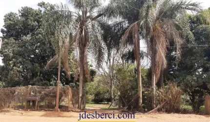 Sítio / Chácara no Borda da Mata em Holambra