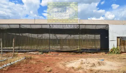 Sítio / Chácara no Palmeiras em Holambra