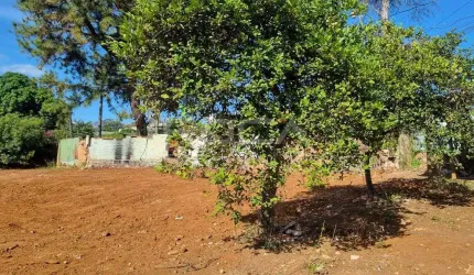 Terreno à venda na Vila Celina, São Carlos: excelente oportunidade!