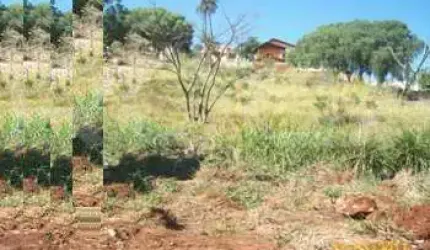 Venda de Terreno / Padrão na cidade de São Carlos