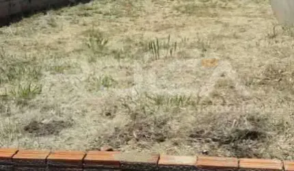 Venda de Terreno / Padrão na cidade de São Carlos