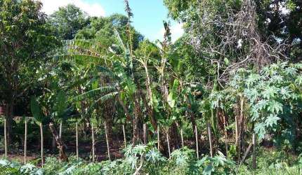 Venda de Rural / Chácara na cidade de São Carlos