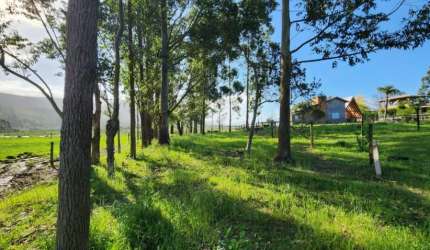 TERRENO COM BEIRA DE LAGOA EM MAQUINÉ