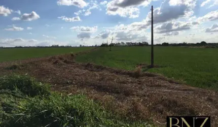 Sítio para plantio à venda próximo a cidade de Arapongas-Pr.