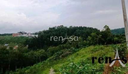 Terreno, Desvio Rizzo, Caxias do Sul - 8040