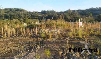 Terreno DESVIO RIZZO CAXIAS DO SUL-RS - 7860