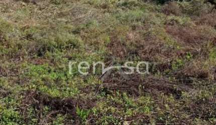 Terreno para venda,  Monte Bérico, Caxias Do Sul - TE8779
