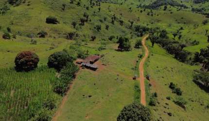 Rural - Fazenda, para Venda em Ibicuí/BA