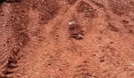 Terreno - Em rua Jardim Santo Antônio