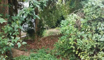 Terreno à venda, Vila Lucinda - Santo André/SP