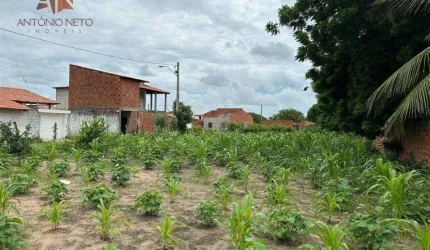 Terreno à venda, 782 m² por R$ 110.000,00 - Fortim - Fortim/CE