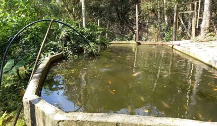 Sítio para Venda em Florianópolis, Vargem do Bom Jesus, 3 dormitórios, 1 suíte, 2 banheiros, 2 vagas