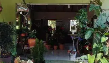 Ponto Comercial para Venda em Florianópolis, São João do Rio Vermelho