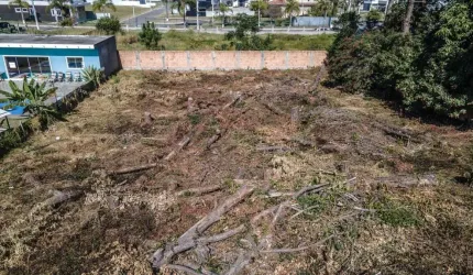 Terreno para Venda em Florianópolis, São João do Rio Vermelho