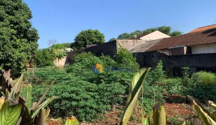 Terreno à venda, 487 m² por R$ 458.000,00 - Vila Morangueira - Maringá/PR