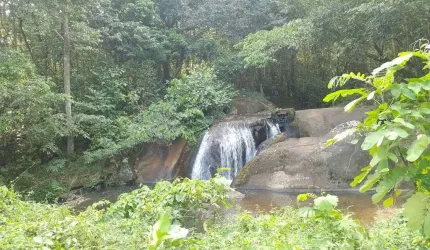 Chácara de 49.736m² à venda, com duas casas e uma casa de caseiro, localizada em Aldeia, Camaragibe - Pernambuco.