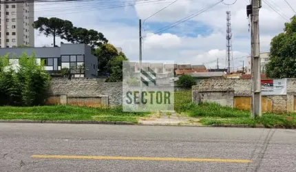 Terreno Locação  no centro de São José dos Pinhais