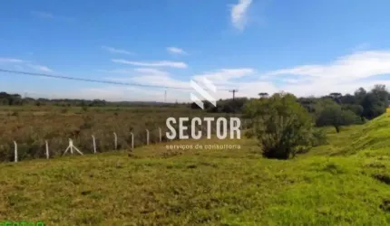Área à venda em São José dos Pinhais