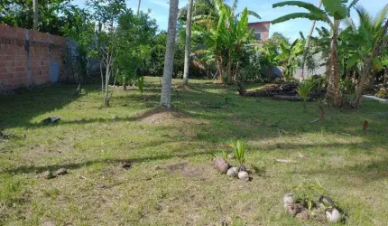 Sítio com 1.300m2 com casa térrea medindo 100m2 de área construída em Dias D’Ávila,