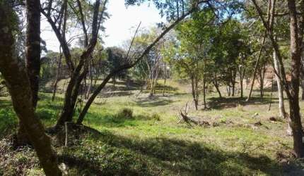 Chácara à venda, 22600 m² por R$ 815.000,00 - Rio Manso - Cunha/SP
