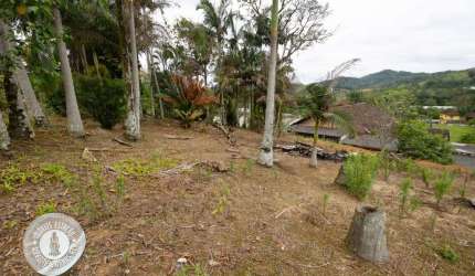 Terreno à venda no Itoupava Central, Blumenau , 610 m2 por R$ 650.000