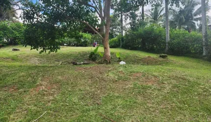 Condomínio Fechado | Santo Amaro da Imperatriz