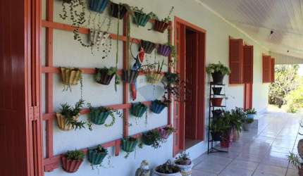 Sítio a venda na Vila Palmeira - Santo Antônio