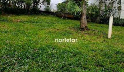 Terreno à venda, 130 m² por R$ 320.000,00 - Vila Irmãos Arnoni - São Paulo/SP