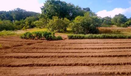 ATENÇÃO LINDA ÁREA DE 12.335,90 M2 PLANA E PLANTADA ESTUDO CARRO E IMOVEL NO PAG