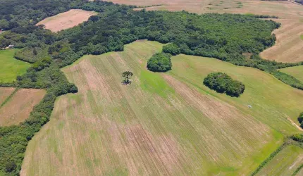 ÁREA DE 183.489,26m2 A VENDA EM SÃO JOSÉ DOS PINHAIS.