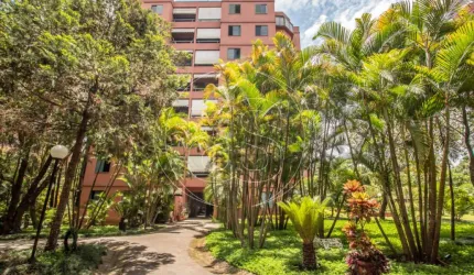 Apartamento para VENDA - Jardim Marajoara