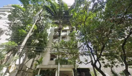 MOEMA PÁSSAROS