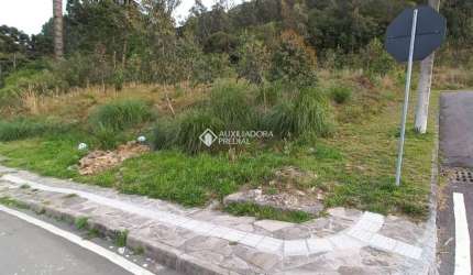 Terreno à venda na Rua Luiz Covolan, 4548, Santa Catarina, Caxias do Sul, 320 m2 por R$ 200.000