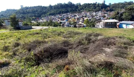 Terreno à venda na Rua Luiz Covolan, 05, Santa Catarina, Caxias do Sul, 302 m2 por R$ 150.000